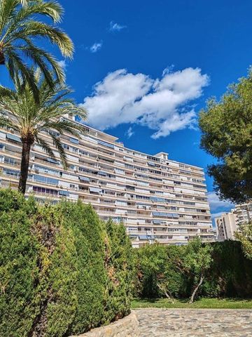 Alicante, Valencian Community 03540 - Photo 2