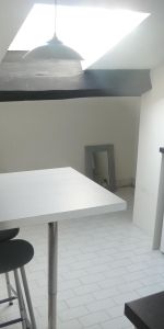 Location Appartement 1 pièce 19m² ST ETIENNE 42100 - Photo 3