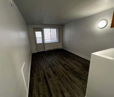 GHETTO MCGILL- STUDIO RENOVÉ & MEUBLÉ- EMPLACEMENT EXCEPTIONNEL - Photo 3