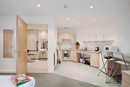 Studio Plus Dual occupancy - Photo 5