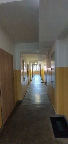 mieszkanie na wynajem Szczecin Śródmieście - Photo 5