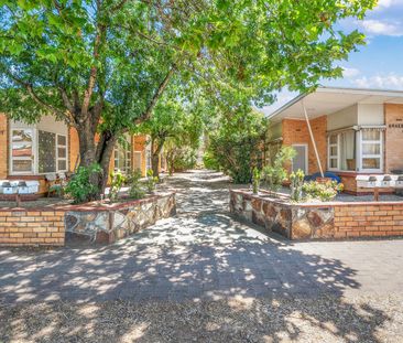 Bright, Comfortable Unit Living in Leafy Clarence Park - Photo 5