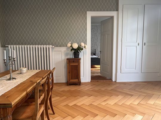 APPARTEMENT DE 3 PIÈCES À THOUNE (BE), MEUBLÉ, TEMPORAIRE - Foto 1