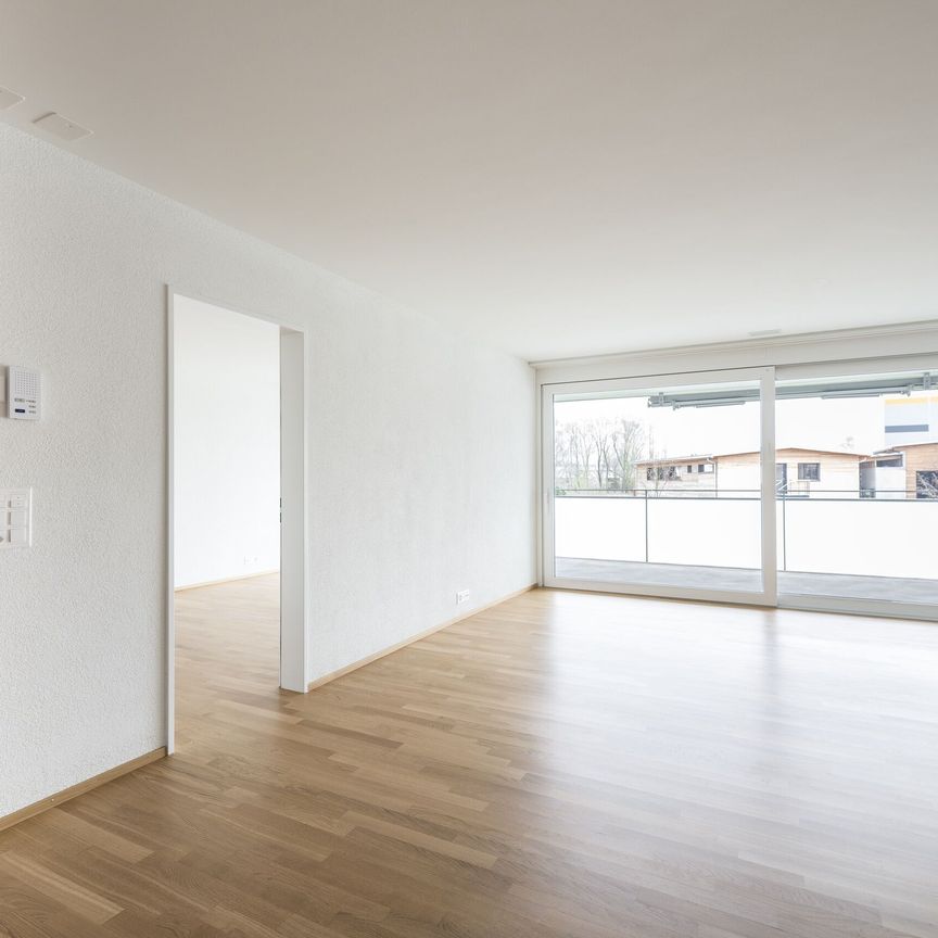 Modern single apartment on the beautiful Lake Constance - Photo 1