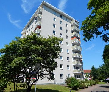 2-Zimmer-Wohnung in Gelsenkirchen Hassel - Foto 4