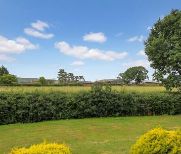 2 bedroom cottage to rent - Photo 4