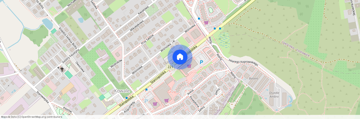 Kowale, Kolbudy, gdański, pomorskie