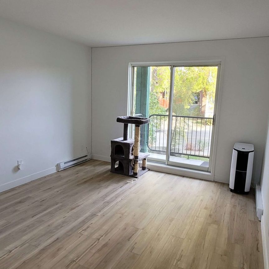 615#3 des Forges Trois-Rivières - Photo 1