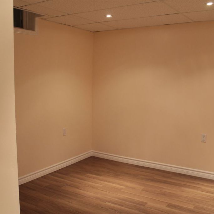 NEWLY constructed room for RENT! (Female Only) - Photo 1