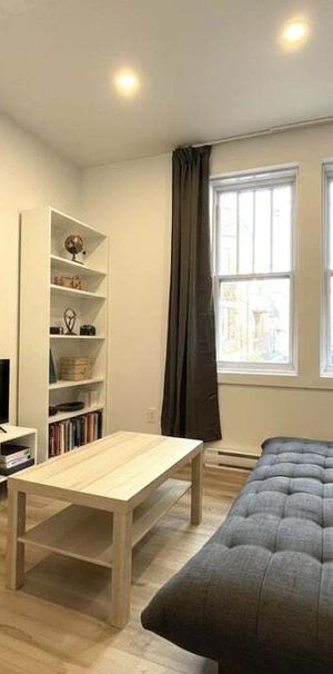 3 1/2 - Plateau Mont Royal - Photo 1