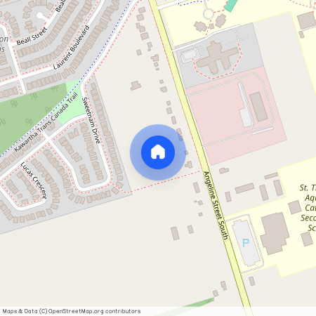 229 Angeline Street, Kawartha Lakes