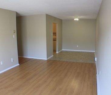 Appartement 1ch - 15 MAI - Hull - Photo 3