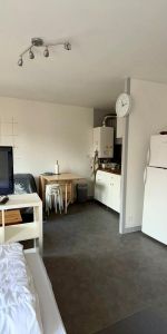 Location Appartement 1 pièce 28m² LIMOGES 87000 - Photo 4