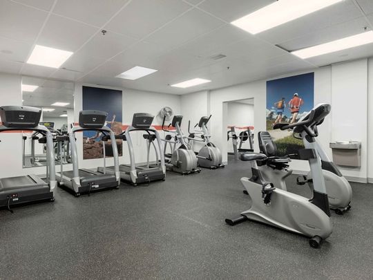 St. Laurent Boulevard - Photo 1