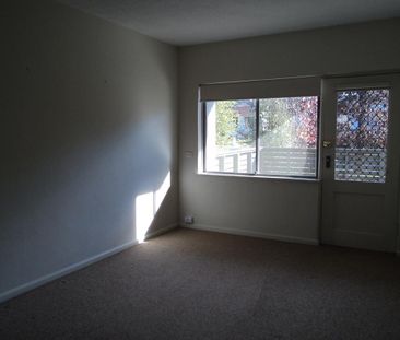 Affordable One Bedroom Apartment - Available for 6 or 12 month lease - Photo 2