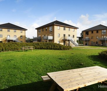 Vanddråben 57, ST., 5240 Odense NØ - Photo 2