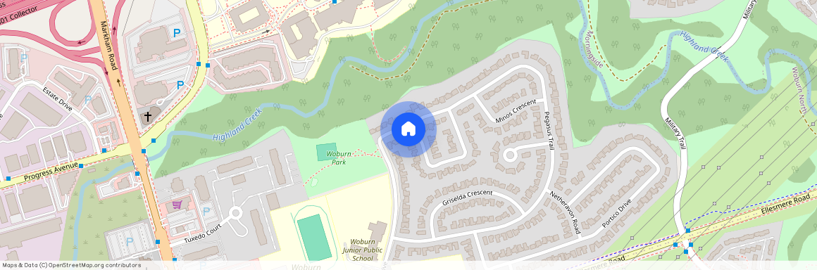 132 Pegasus Trail Unit# BSMT RM1, Toronto