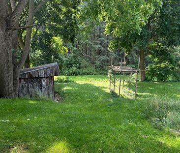 For Lease - 64 FREDERICK Street, Woodstock, Ontario - Photo 5