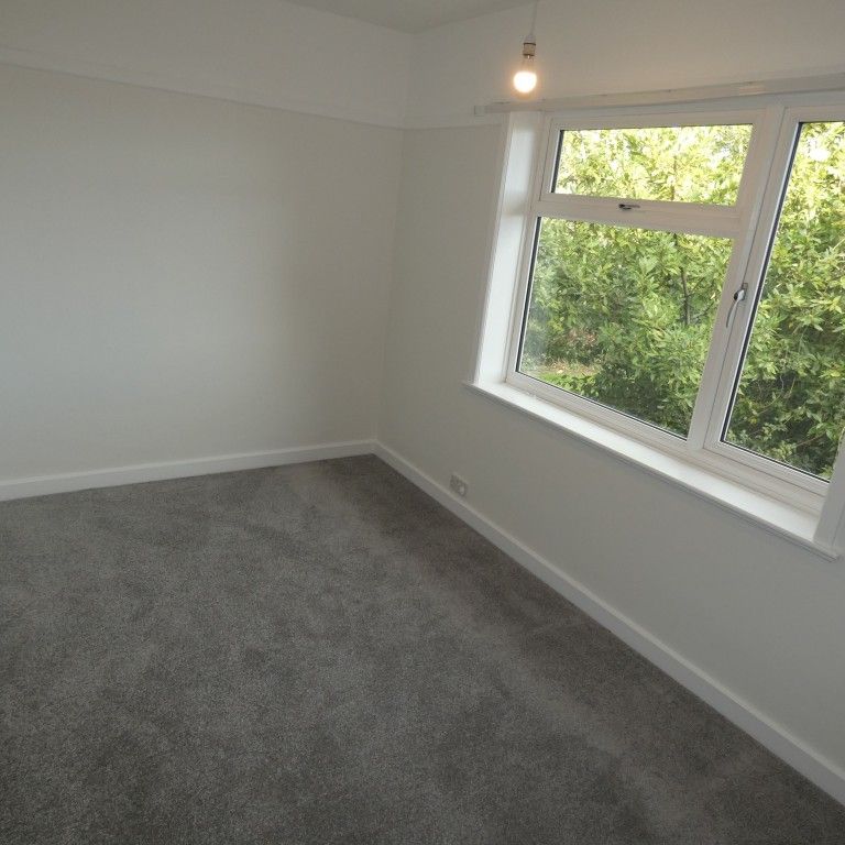 4 bed Semi-Detached - To Let - Photo 1