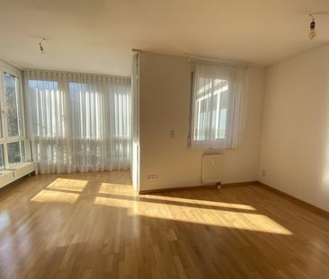 Singles aufgepasst: Zentrale 1-Zimmer-Terrassenwohnung im Herzen vo... - Photo 6