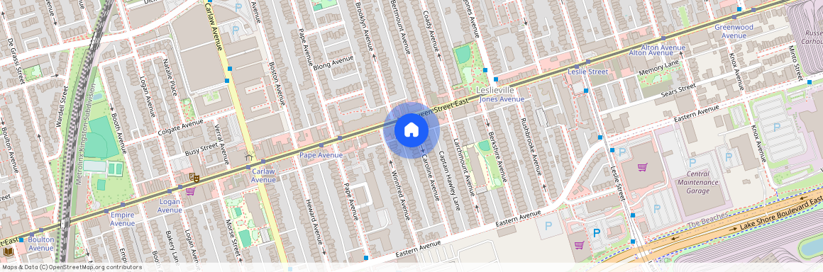 110 Caroline Avenue Unit# Lower, Toronto