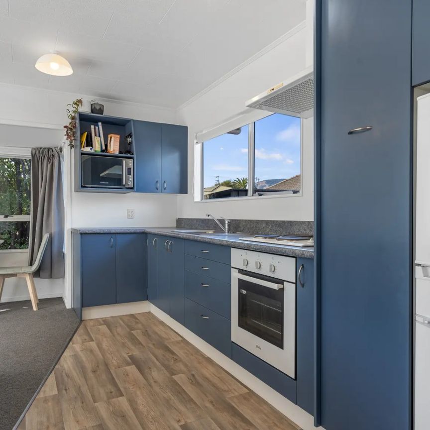 21A Elizabeth Street, Richmond, Tasman - Photo 1