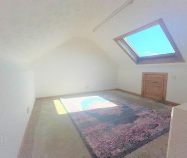 20 Ethel Street, Belfast, BT9 7FW - Photo 6