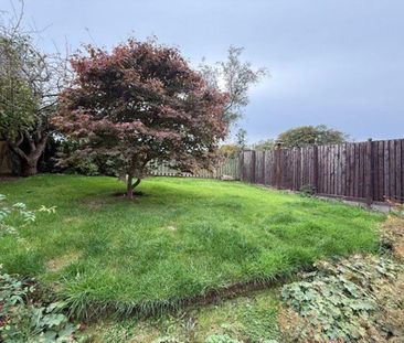 3 bedroom house to rent - Photo 6