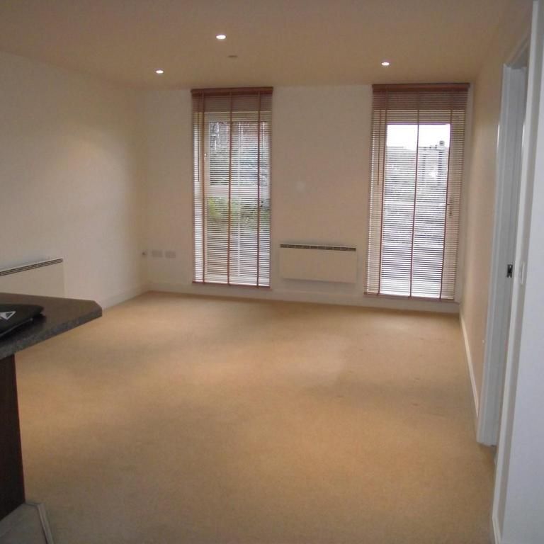 1 bedroom ground floor flat to rent - Photo 1