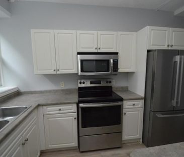 223 Ontario Street apartment — St. Catharines, ON (1-Bedroom) - 1 Bedroom - Photo 3