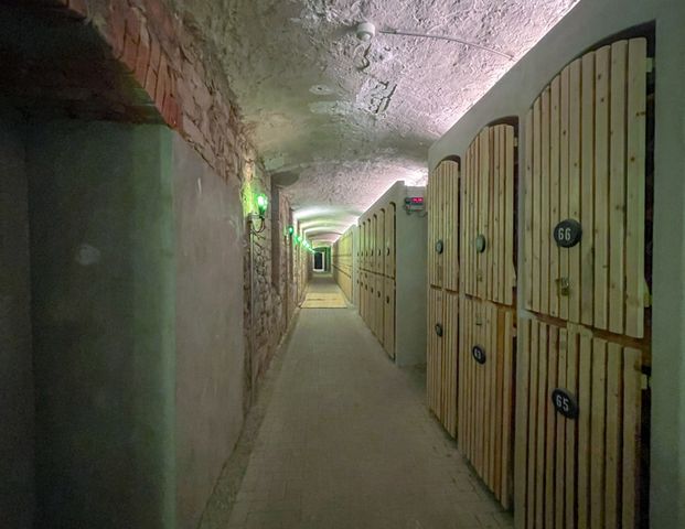 Ihr Traum vom Wohnen wird wahr! Luxus Suite - 4 Zimmer, Küche, 2 Bäder in Toplage - Photo 1