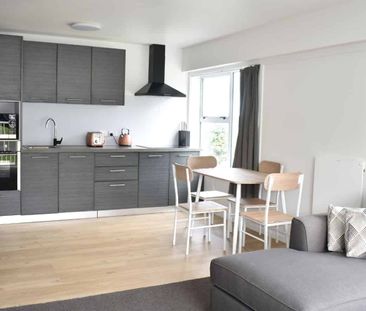 Spacious, Light-Filled Furnished Apartment - Photo 3