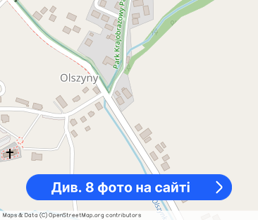 Wynajmę dom w Olszynach gm. Rzepiennik - Фото 1