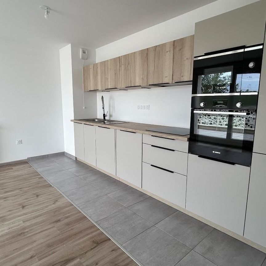 Location Appartement 3 pièces 58m² ST LOUIS 68300 - Photo 1