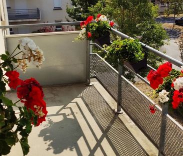 Location Appartement 2 pièces 47 m2 à Laon - Photo 4