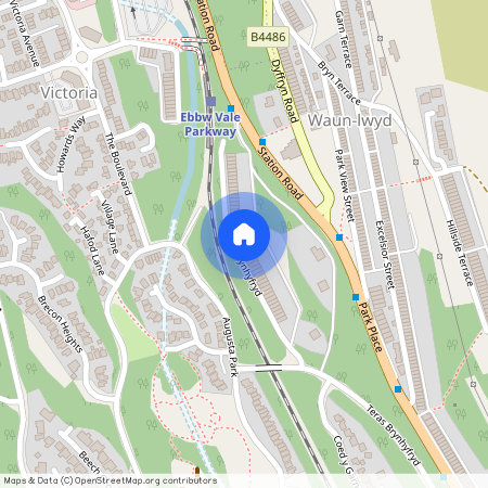 Brynhyfryd Terrace, Ebbw Vale, NP23