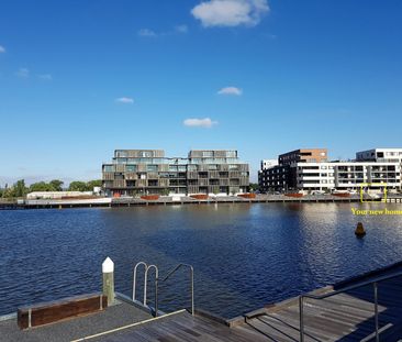 3/85 Eyre Street, Kingston ACT 2604 - Apartment For Rent | Domain - Photo 2