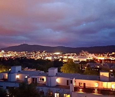 1 Zimmer-Wohnung in Zürich, möbliert, auf Zeit - Photo 6