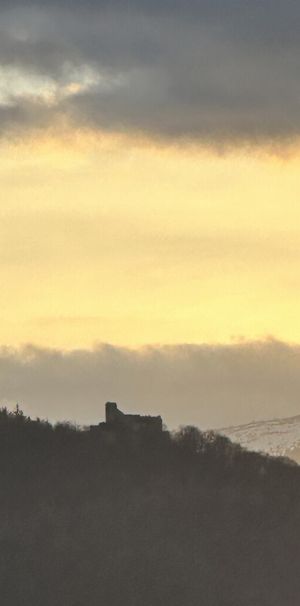 (Symbol 438819) - Photo 1