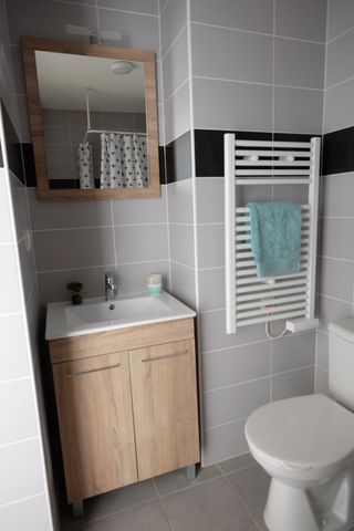 Location Appartement 1 pièce 21m² ISLE 87170 - Photo 5