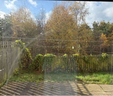 3 bedroom house to rent - Photo 4