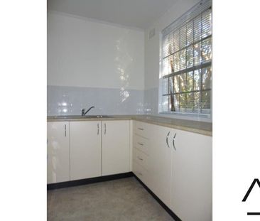 2/71 Probert Street, Newtown NSW 2042 - Studio For Rent | Domain - Photo 1