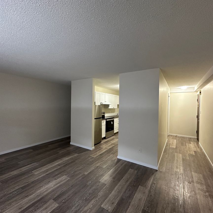 Charming 1 Bed 1 Bath Apartment in heart of DOWNTOWN Red Deer - Photo 1