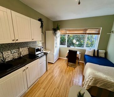 Studio Flat, Colville Terrace, W11 - Photo 3