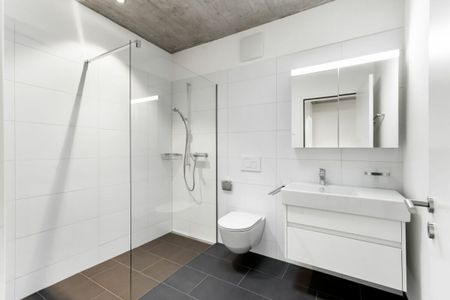 3.5-Zimmer-Attikawohnung - Photo 2