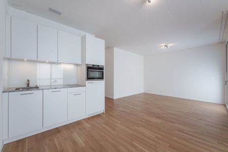 Living near the Hochschule Luzern - Photo 2