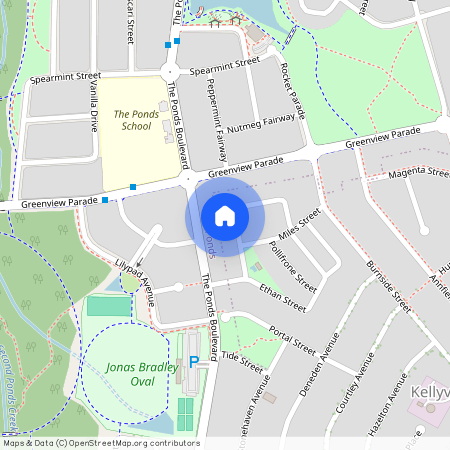 17 Claremont Street, Kellyville Ridge NSW 2155