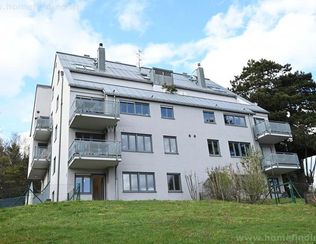 hübsche Kleinwohnung mit Balkon in Grünlage - befristet - Foto 1