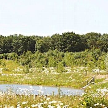 Turing Way, Cambridge, CB3 1BR - Photo 1