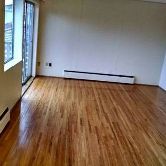 Metrotown One Bedroom Apartment for Rent - Photo 4